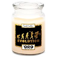 IMPAR Vanilla scented candle - Evolution - love 500 g - Candle
