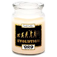 IMPAR Vanilla scented candle - Evolution - teachers 500 g - Candle