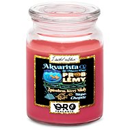 IMPAR Chocolate scented cherry candle - Aquarist - problems 500 g - Candle
