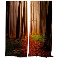 IMPAR Curtains Forest in autumn,140 × 250 cm - Drape