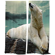IMPAR Polar bear curtains,140 × 250 cm - Drape