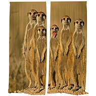 IMPAR Curtains Surikaty,140 × 250 cm - Drape
