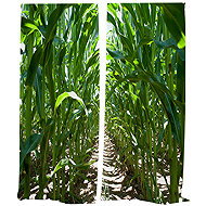 IMPAR Corn field curtains,140 × 250 cm - Drape
