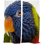 IMPAR Curtains coloured parrot - Drape