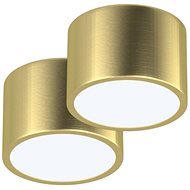 IMMAX NEO set 2x RONDATE Smart ceiling light 15cm 12W gold Zigbee 3.0 +DO - Ceiling Light