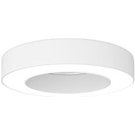 Immax NEO PASTEL Smart Ceiling Light 60cm, 52W Grey Zigbee 3.0 - Ceiling Light