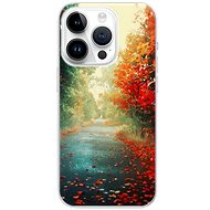 iSaprio Autumn 03 pro iPhone 15 Pro - Phone Cover