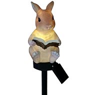 APT ZD50R Garden solar lamp rabbit with book - LED Light
