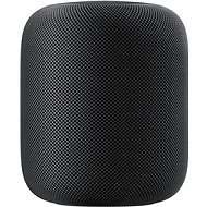 Apple HomePod vesmírně šedý - Hlasový asistent