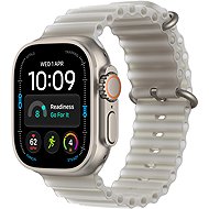 Apple Watch Ultra 4 49mm Natural Titanium with Grey Ocean Band - Smart Watch