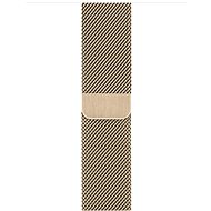 Apple Watch 40mm Gold Milan Stroke - Standard - Watch Strap