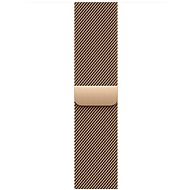 Apple Watch 40mm Gold Milanese Loop - Watch Strap