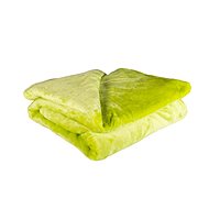Jahu Blanket micro Uni 150 × 200 cm, light green - Blanket