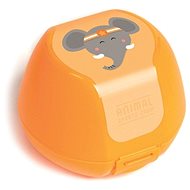DBP for fruit Elephant orange - Lunch Box
