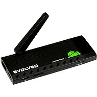  EVOLVEO Smart TV stick D2  - Multimedia Centre
