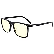 GUNNAR HAYWARD ONYX - Computer Glasses
