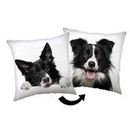 Jerry Fabrics Pillow Border Collie 40 × 40 cm - Pillow