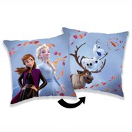 Jerry Fabrics Pillow Frozen 2 Wind 02 40 × 40 cm - Pillow