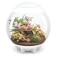 OASE biOrb AIR 60, white - Aquarium