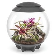 OASE biOrb AIR 60 grey - Aquarium