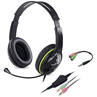 Genius HS-400A + reduction to Single Jack - Headphones