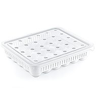 Hobby Life Rectangular plastic egg container 30 pcs - Kitchen Organiser