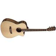 James Neligan ASY-ACE Auditorium type - Acoustic-Electric Guitar
