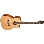 James Neligan BES-ACE N type Auditorium - Acoustic-Electric Guitar