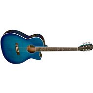 James Neligan BES-ACE TBB Auditorium type - Acoustic-Electric Guitar