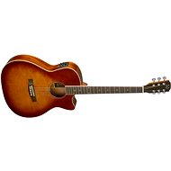 James Neligan BES-ACE DCB Auditorium type - Acoustic-Electric Guitar