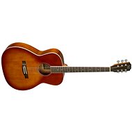 James Neligan BES-A DCB Auditorium type - Acoustic Guitar