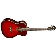 James Neligan BES-A TRB type Auditorium - Acoustic Guitar