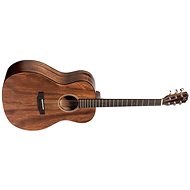 James Neligan DOV-A type Auditorium - Acoustic Guitar