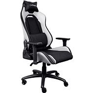 Trust GXT714W RUYA ECO Gaming chair, bílá - Gaming Chair