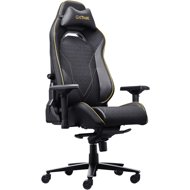 Trust GXT721 RUYA PRO Gaming Premium Chair - Gaming Chair