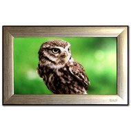 FrameXX Home 270 - standard - Digital Photo Frame
