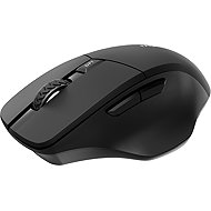 Rapoo M610 Multi-mode black - Mouse