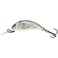 Salmo Hornet Floating 3.5cm 2.2g Real Dace - Wobbler