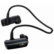 SONY WALKMAN NWZ-W252B black - MP3 Player