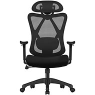 SONGMICS Ergonomic office chair - Office Chair
