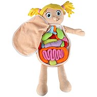 KIK KX2954 Educational doll - anatomical model, girl - Anatomy Model
