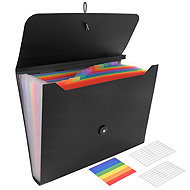 Maaleo 27227 Document organizer with elastic band, 13 pockets, black - Document Folder