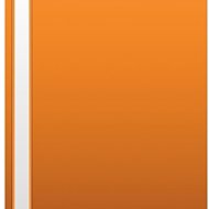 Cardboard P+P A4 PP orange - Document Folder