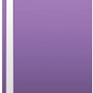 Cardboard P+P A4 PP purple - Document Folder