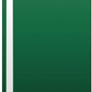 Cardboard P+P A4 PP dark green - Document Folder