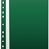 Cardboard P+P A4 PP hanging dark green - Document Folder