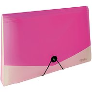 Karton P+P A4 Opaline clear-pink 13 pockets - Document Folder