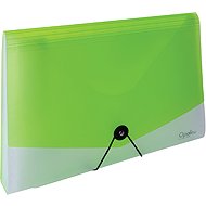 Karton P+P A4 Opaline clear-green 13 pockets - Document Folder