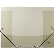 Karton P+P Lines transparent with rubber - Document Folder