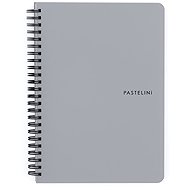 CARDBOARD P+P Pastelini Twin wire A5 PP grey - Journal